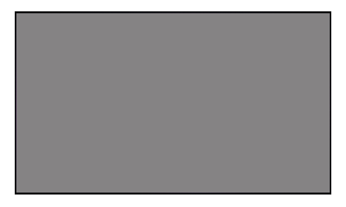 [LCTB-100203] Экран Lumien Cinema Thin Bezel